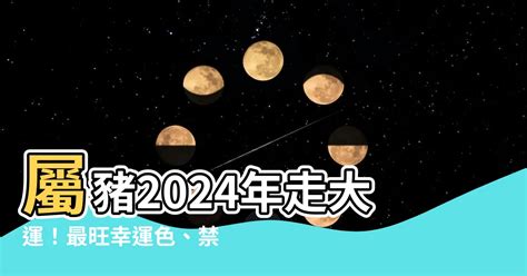 豬年幸運顏色|【屬豬顏色】掌握2024屬豬幸運顏色！助你財運亨通。